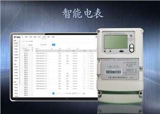 智能電表購(gòu)買注意事項(xiàng)—老王說(shuō)表
