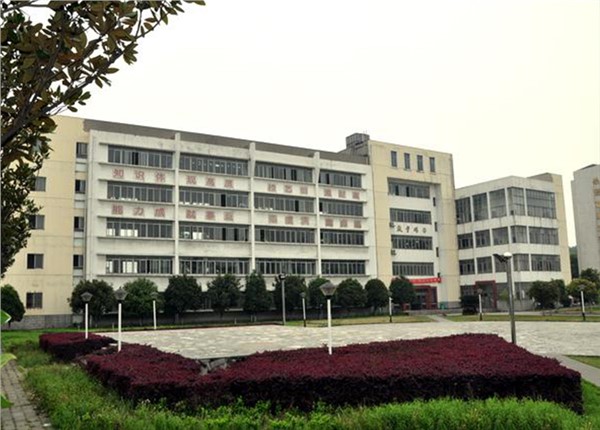 湖南岳陽石油職業(yè)技術(shù)學校遠傳水表監(jiān)測項目